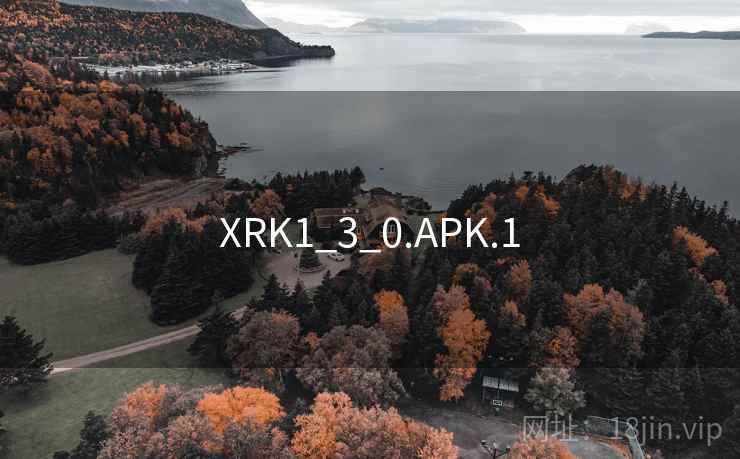 XRK1_3_0.APK.1 XRK1_3_0.APK.1