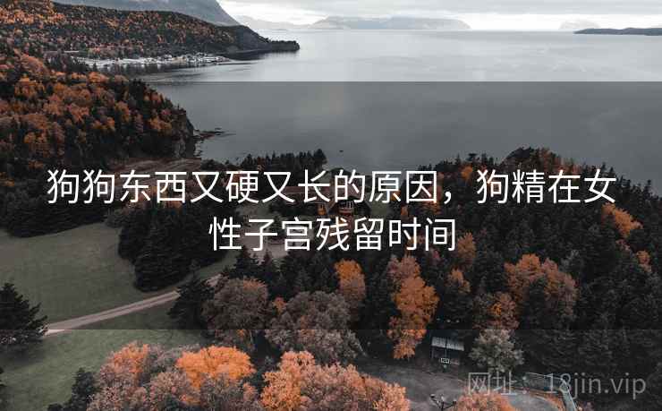 狗狗东西又硬又长的原因，狗精在女性子宫残留时间