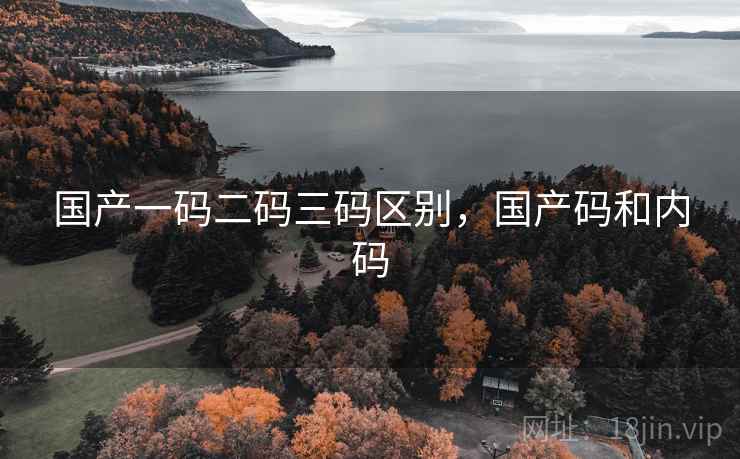 国产一码二码三码区别，国产码和内码