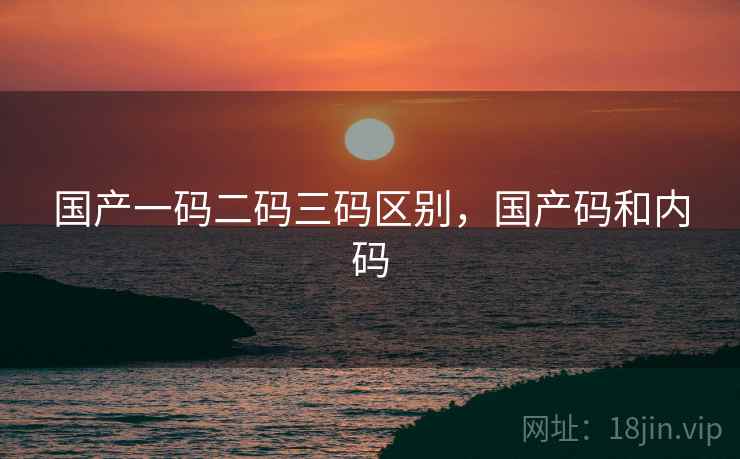 国产一码二码三码区别，国产码和内码